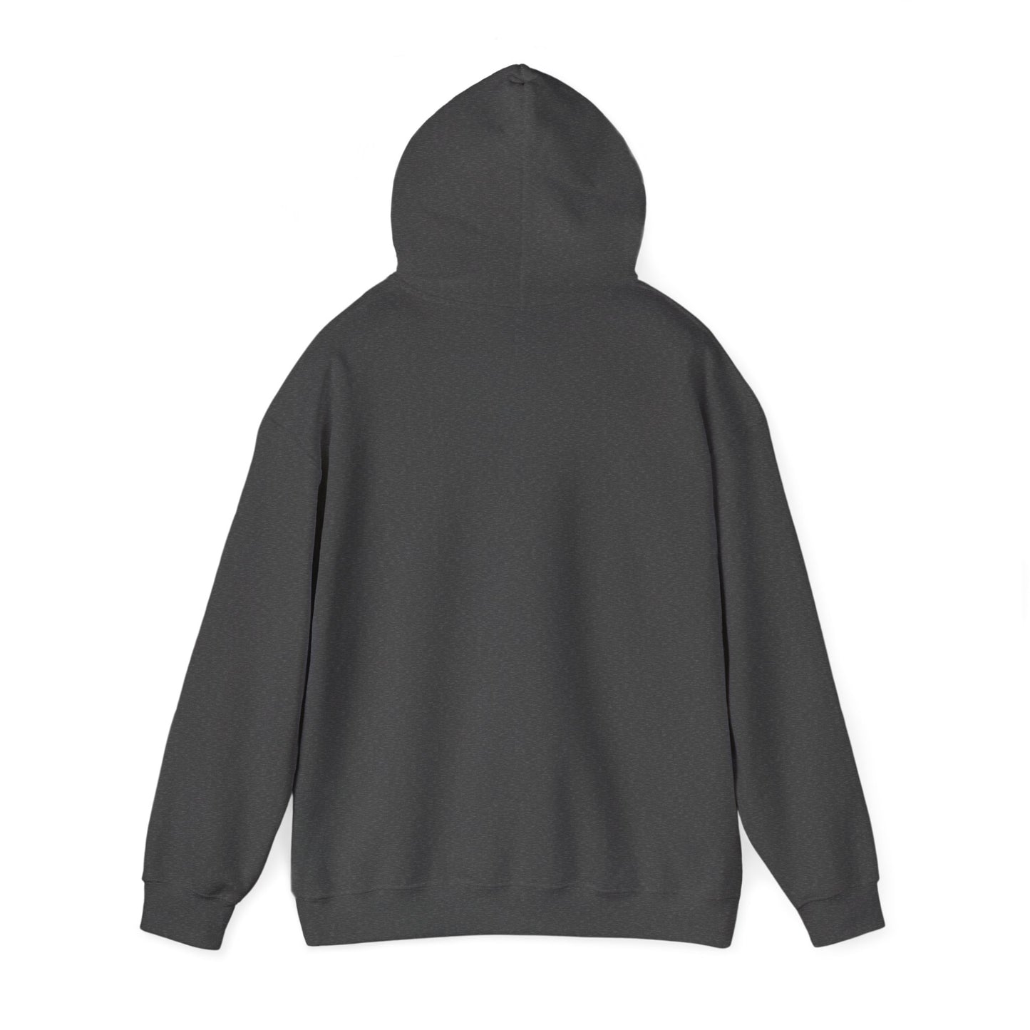 Drop Shot Supply Hoodie — Minimal Pickleball Apparel Hoodie